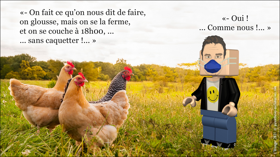 - On fait ce qu’on nous dit de faire, on glousse, mais on se la ferme, et on se couche à 18h00, ... sans caquetter !... - Oui, nous aussi !...