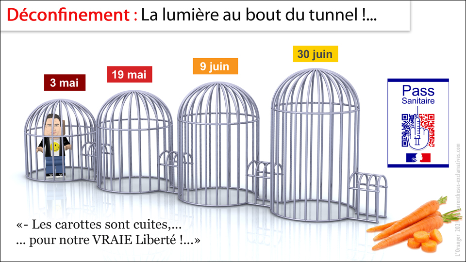 Déconfinement : La lumière au bout du tunnel !... - Les carottes sont cuites,...... pour notre VRAIE Liberté !...